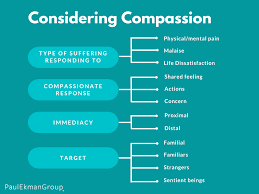 Compassion meaning, definition, what is compassion: What Does Compassion Mean Types Of Compassion