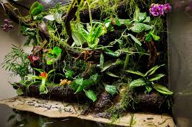 Http Paluweb Nl Wp Content Uploads 2013 12 Img 6465 Jpg Plants Mini Garden Orchid Terrarium