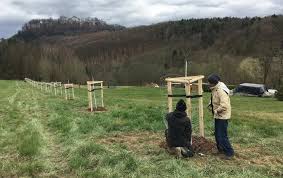 Es dürfen nur ganze eurobeträge geboten werden. Home Startseite Unternehmen Firma Landschaftsbau Fleischer Gmbh