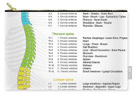 Vertebral Column Reflexology Chart Carry All Pouch