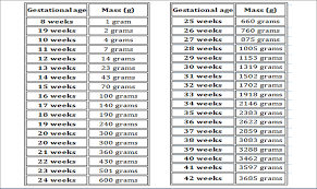 baby weight during pregnancy pregnancy weight gain chart