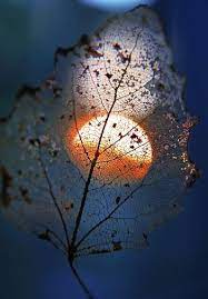 By Malgorzata Szewczyk Beautiful Moon Beautiful Nature Nature Photography