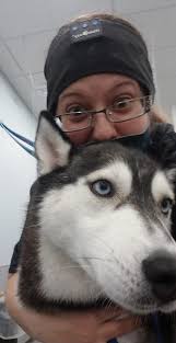 Affordable dog training program available