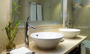 ¿cuáles son las mejores plantas para el baño? Como Decorar Un Bano Con Plantas