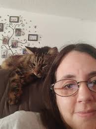 Friendly female cat found in Dovercourt Village