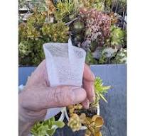 247Garden 100-Pack 3x4" Eco-Friendly Aeration Seedling Pots/Nursery Fabric  Plant Grow Bags (25GSM 8x10cm Non-woven)