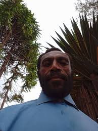 Henry Larson in people