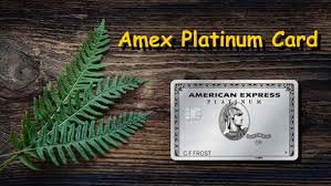 Check spelling or type a new query. Amex Platinum Card Review A Credit Card Packed For Premium Travel 2021 Travel Freedom