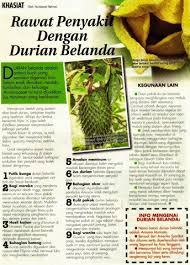 #1 kaya nutrien dan antioksidan. 86 Gambar Akar Durian Belanda Paling Hist Gambar Pixabay