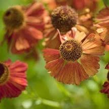 Photos, address, and phone number, opening hours, photos, and user reviews on yandex.maps. Anne Paterson S Flowers