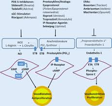 Ručne i nožne pumpe za gume sa manometrom za bicikle. Pulmonale Hypertonie Springerlink