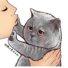 Miya Opulmeyi Hic Sevmiyoo Kedi Kediler Kedicikler Cat Cats Catsofinstagram Cats Of World Catofthe Sevimli Cizimler Cok Sirin Hayvanlar Hayvanlar