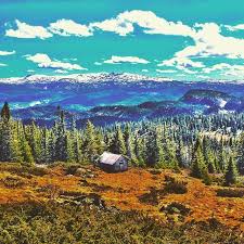 Just 90 minutes from oslo. Visitnorwayinstagram On Twitter Fla Saeter Vassfaret Erikkegronnerepaandresiden Hogevarde Norefjell Snow Spring Forest Mountains Hiking C Http T Co Oaxlqjlcol