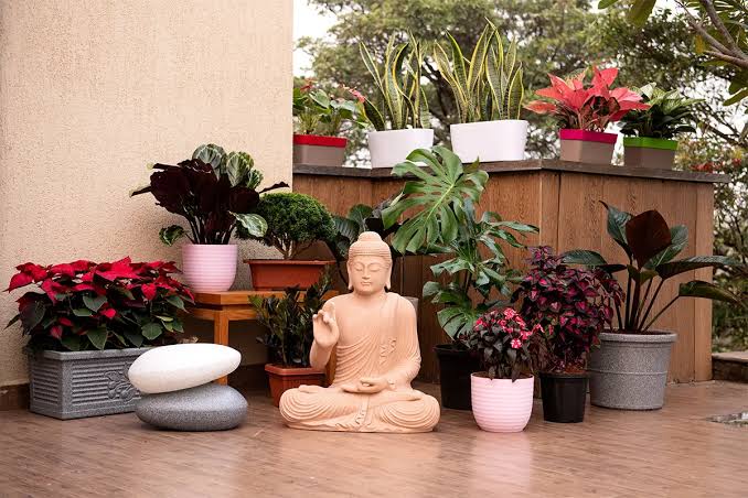 Balcony garden with various plants