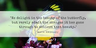 To honor her eternal spirit, we are sharing 25 of our favorite maya angelou quotes that will continue to inspire all who reads them. Keith Mcarthur On Twitter We Delight In The Beauty Of The Butterfly But Rarely Admit The Changes It Has Gone Through To Achieve That Beauty Maya Angelou Quote Https T Co Ffk1rn0g5r
