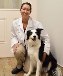 Mauricio vargas started his own mobile veterinary practice before founding. Lakewood Ranch Veterinary Clinic Vaccines Routine Exams Surgeries Wellness Plans Pet Paradise