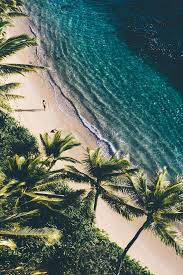 Tropical Wallpaper Tumblr 1280x1920 Download Hd Wallpaper Wallpapertip Tropical summer festival poster free vector. tropical wallpaper tumblr 1280x1920