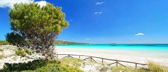 Wir sind schon mehrfach nach sardinien gekommen, um hier den urlaub zu kombinieren, einerseits für das motorrad fahren ob küstenstraße oder paßstraße es ist immer schön, da wir im april oder oktober unterwegs sind. Https Www Xn Gnstiger Reisen Zvb De Italien Sardinien