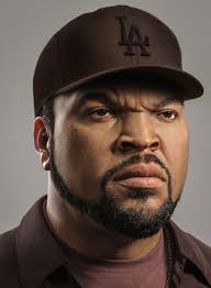 Icecube portrait and breakdown