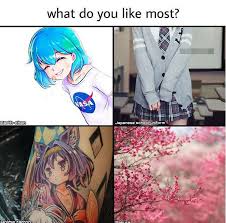 Choose Two Usually People Don T Like To Be Followed We Don T Mind Huntinganime M Anime Love Anime Art Beautiful Anime