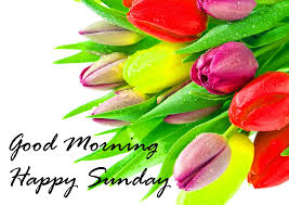 Good morning quotes and images that will inspire your day every morning was a cheerful invitation to make my life of equal simplicity, and i may say innocence. Sunday Good Morning Quotes Images Wishes Wallpaper Whatsapp Hd Good Morning 1998x1418 Wallpaper Teahub Io