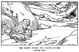 From wikipedia, the free encyclopedia. Freebookapalooza Dutton The Tortoise And The Geese