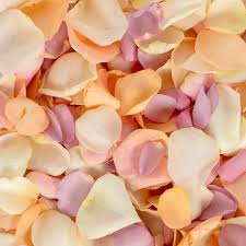 Select from our most popular products in auckland below. Fresh Pastel Rose Petals Wedding Confetti Flower Delivery Company