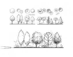 Pin Von Sisi Auf Garten Grundriss Landschaftsarchitektur Zeichnung Architektur Skizze Architektonische Baume