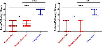 The best evidence rule is a legal principle that holds an original of a document as superior evidence. Pathogenic Differences Between Nipah Virus Bangladesh And Malaysia Strains In Primates Implications For Antibody Therapy Scientific Reports