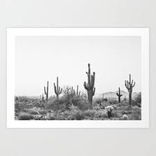 Gograph allows you to download affordable illustrations and eps vector clip art. Cactus Art Prints For Any Decor Style Society6