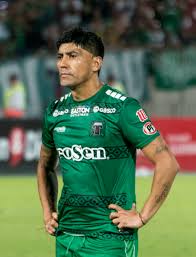 Colo colo y everton se verán las caras este sábado en la ida de los cuartos de final de la copa chile, en un duelo que se llevará a cabo en el estadio monumental. Cristian Canio Wikipedia