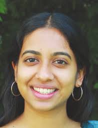 Exploring Vingroup's vast reach in Vietnam, and what it means for Chatham  County