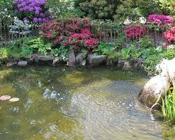 Warum wird wasser im gartenteich eigentlich trüb? Wassergarten Tipps Zum Anlegen Und Gestalten Mein Schoner Garten