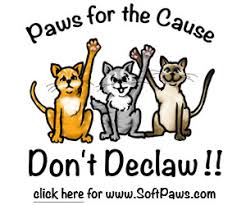 Rather than worry about your cat destroying your furniture or whether you should declaw. Soft Paws Can Help Protect Doors And Walls From Cat Scratches Softpaws Com