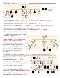 Worksheet For Pedigree Analysis And Practice Key Docsity