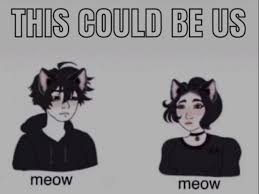 Pin By Laura On Memes Cute Memes Funny Memes Stupid Memes