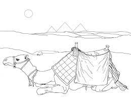Clearly besotted stamps used:egyptian feline stamp set **coming january 6th**other supplies:neenah solar white 110lbcopic sketch markers assorted. The Desert Is A Unique And Interesting Place The Climate Is Like No Other Surviving On Very Litt Animal Coloring Pages Coloring Pages Desert Animals Coloring