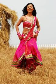 Telugu Entertainment: Radhika Pandit Latest Spicy HD Images