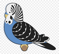 Budgie By Hevromero On Deviantart Cartoon Budgie Png Free Transparent Png Clipart Images Download Cartoon png & psd images with full transparency. deviantart cartoon budgie png