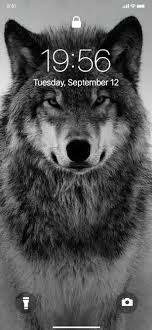 Maybe you would like to learn more about one of these? Lone Wolf Wallpapers On The App Store