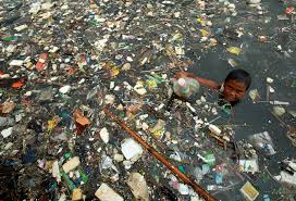 They also discovered signs of pollution from oil products in three other areas of the avacha bay. Eu Agrees To Ban Throwaway Plastics To Limit Ocean Pollution Eco News