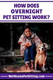 If you want your pet sitter to provide overnight care in your home, it will cost from $40 to $75 per night. How Does Overnight Pet Sitting Work Wet Noses Pet Sitting