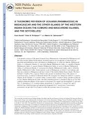 Image result for Gouania tiliifolia