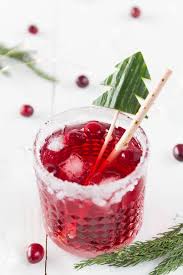 Weihnachtlicher Cranberry Gin Tonic Aperitif Zum Weihnachtsmenu Weihnachtsrezepte Weihnachtscocktails Aperitif Weihnachten