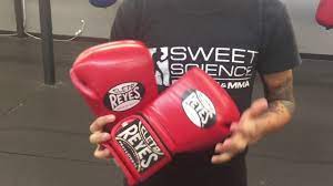 Check spelling or type a new query. 5 Best Boxing Gloves You Should Own Youtube