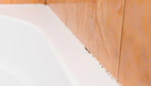 As we noted above, the conditions needed for mold are generally heat, humidity and an enclosed space. How To Get Rid Of White Water Mold In A Hot Tub Globo Surf