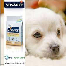 Advance Dog Puppy Protect Mini 2 Ile 10 Ay Arasinda Kucuk Irk Yavru Kopekler Ile Yetiskin Agirligi En Fazla 10 Kg Olan Hamile Ve Emziren Kopek Yavru Kopek Kopek