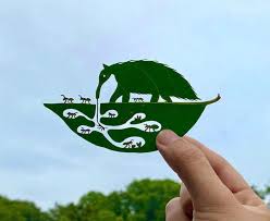 Odditycentral is ranked 15,005 in the united states. Leaf Cutouts Oddity Central Collecting Oddities