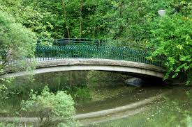 Aktivitäten in der nähe von botanischer garten rombergpark. Botanischer Garten Rombergpark Parks Und Garten In Dortmund Parks Freizeit Kultur Tourismus Stadtportal Dortmund De