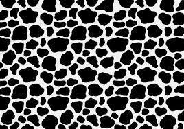 We did not find results for: Cow Print Pattern 225278 Vector Art At Vecteezy